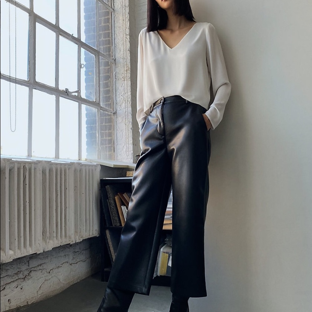 Aritzia Babaton Blouse